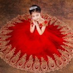 Princess Ball Gown Red Lace Flower Girls Dresses for Weddings Birthday Communion Kids Stage Performance Show